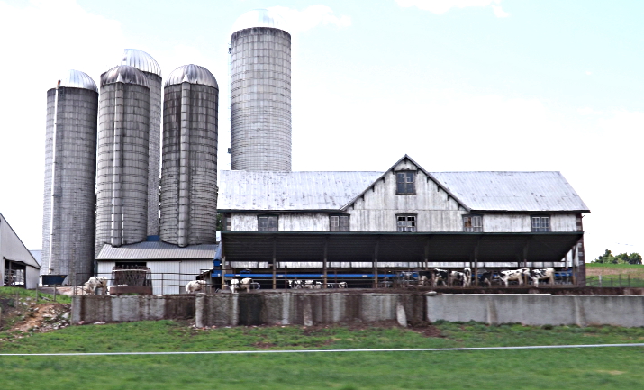 barns DSCF1375 crop