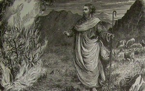 Moses, burning bush.