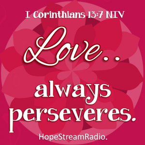 love always perseveres