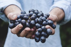 The Fruit Of The Spirit
