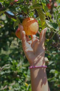 Spiritual fruits