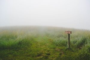 following jesus