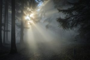 What does the bible say about light and darkness