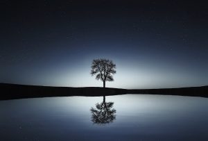Reflection Of Jesus