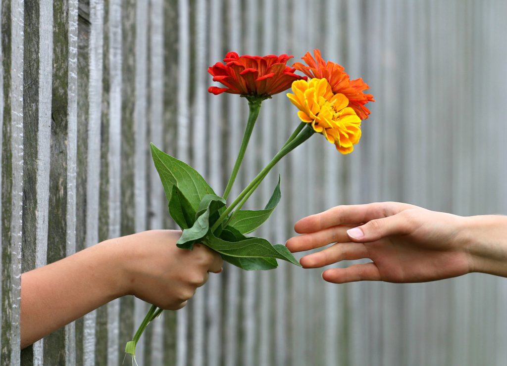 flowers