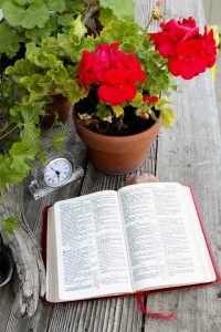 learn scripture
