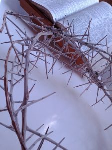 crown of thorns