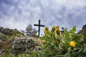 Jesus Is The Way