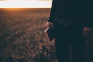 Trust In The Lord