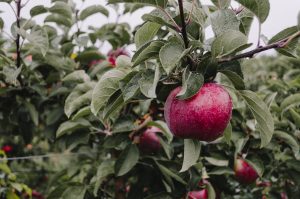 overcoming temptation