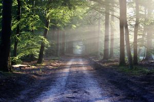 light and shadow