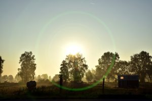 sunrise
