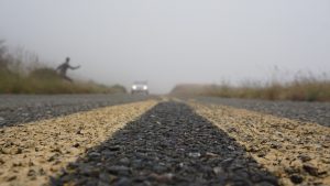 hitchhiking