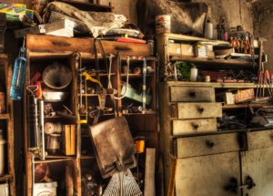 pack rat