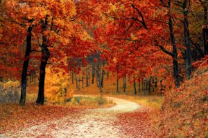 seasons of change
