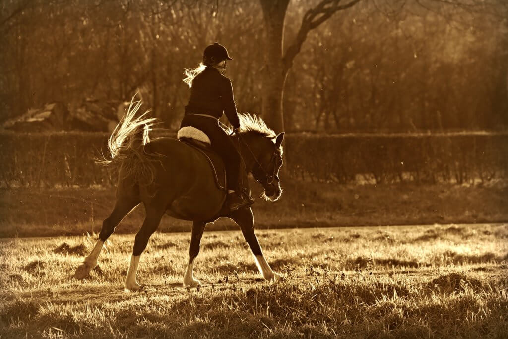 riders