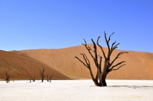 land between