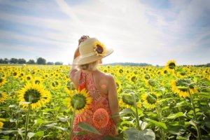 flowers of summer