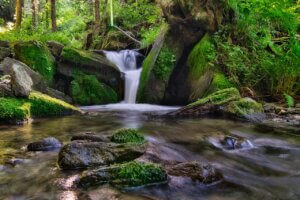 sweet waters