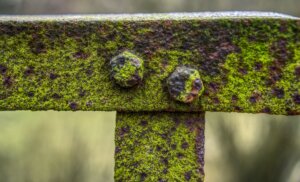 Bridge Railing