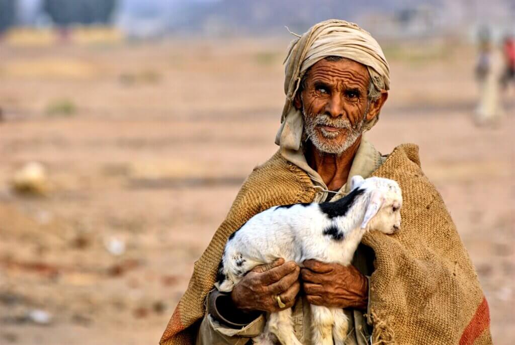 good shepherd