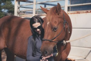 bridle
