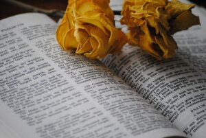 Bible