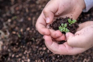 reap what you sow
