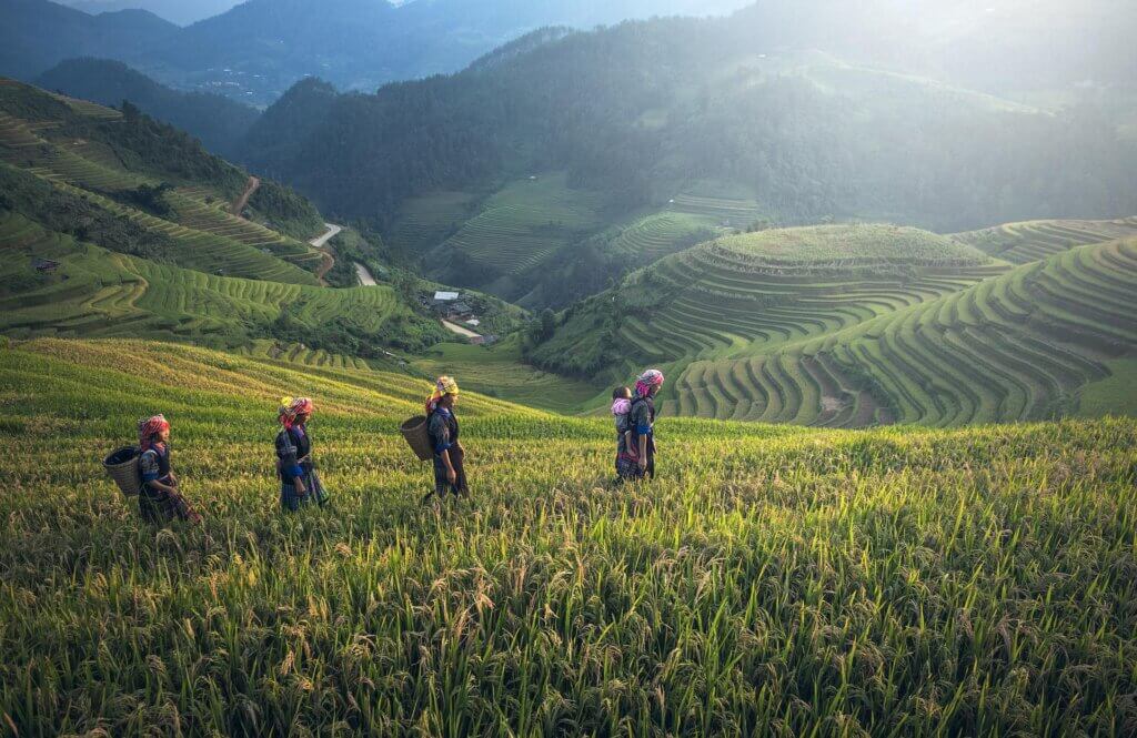 Farmers in Bali