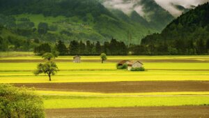 farming