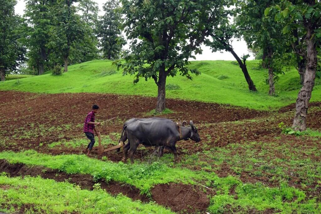Plowing