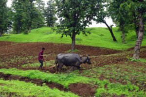 Plowing