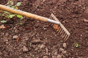 good soil
