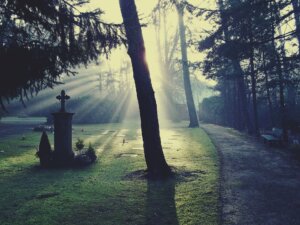 Death and the Afterlife
