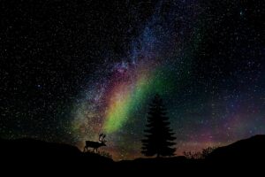 Heaven to Earth