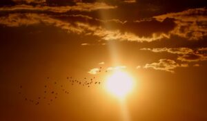 the sun