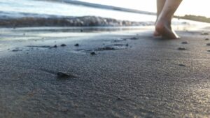 feet