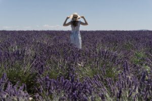 lavender