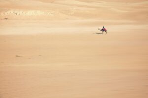 desert