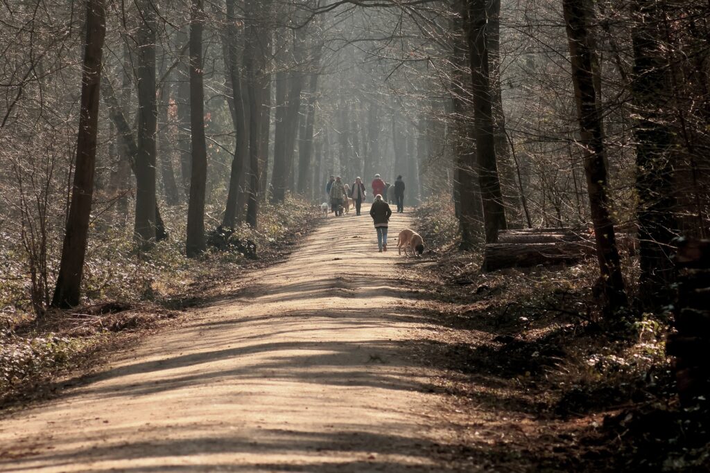 walking