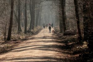 walking