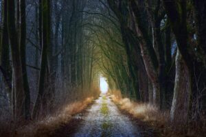 darkness to light